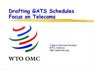 Drafting GATS Schedules Focus on Telecoms