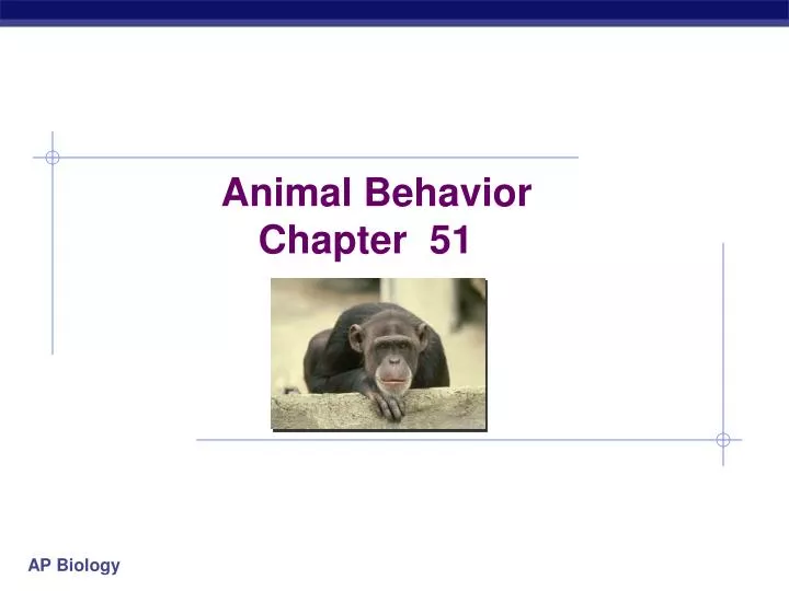 PPT - Animal Behavior Chapter 51 PowerPoint Presentation, Free Download ...