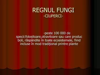 regnul fungi ciuperci