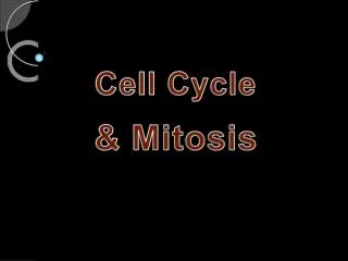 Cell Cycle