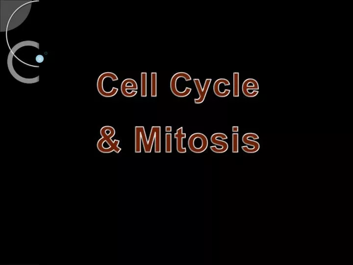 cell cycle