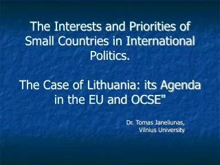 The Interests and Priorities of Small Countries in International Politics. The Case of Lithuania: its Agenda in the EU a