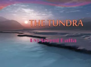 THE TUNDRA