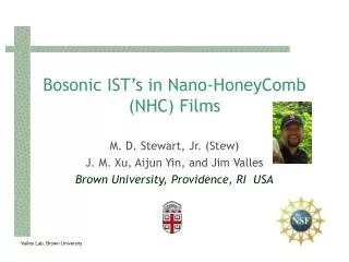 Bosonic IST’s in Nano-HoneyComb (NHC) Films