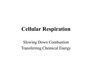 Cellular Respiration