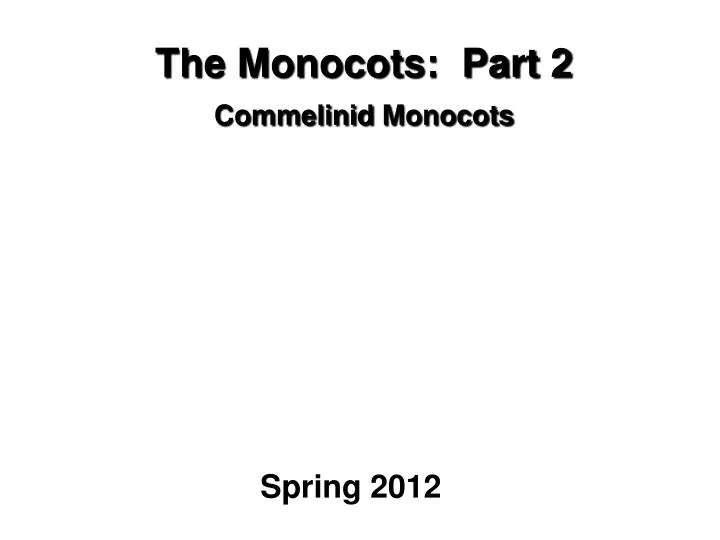 the monocots part 2 commelinid monocots