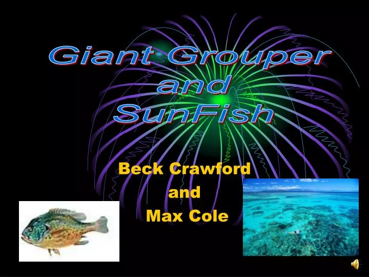 beck crawford and max cole