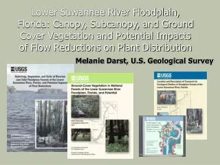 Lower Suwannee River Floodplain, Florida: Canopy, Subcanopy, and Ground Cover Vegetation and Potential Impacts of Flow R