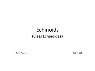 Echinoids