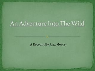 An Adventure Into The Wild
