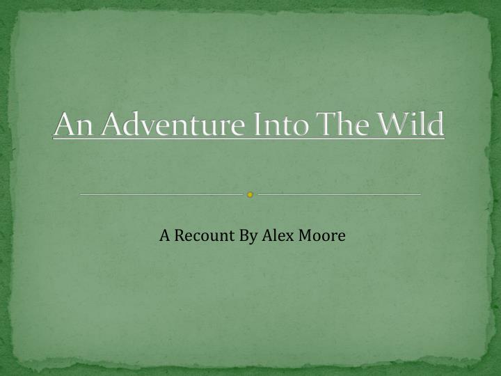 an adventure into the wild