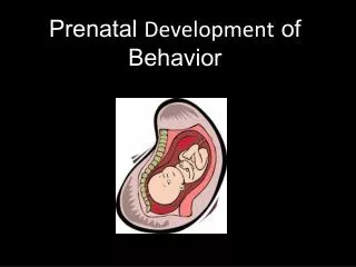 Prenatal Development of Behavior