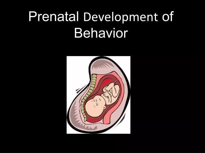prenatal development of behavior