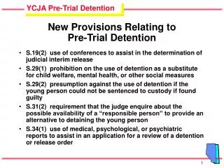 New Provisions Relating to Pre-Trial Detention