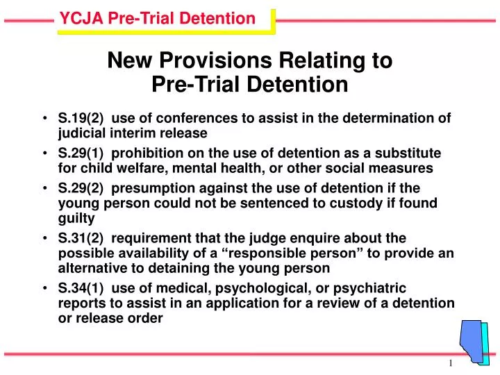 new provisions relating to pre trial detention
