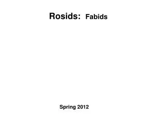 Rosids : Fabids