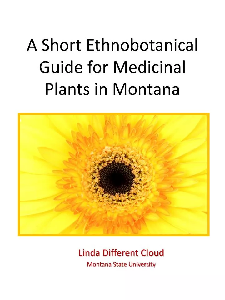 a short ethnobotanical guide for medicinal plants in montana