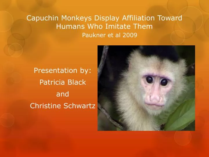 capuchin monkeys display affiliation toward humans who imitate them paukner et al 2009