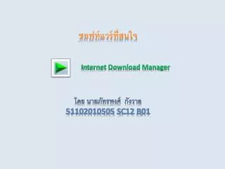 Internet Download Manager