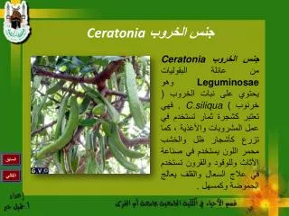 جنس الخروب Ceratonia