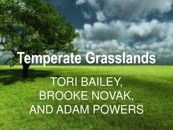 temperate grasslands