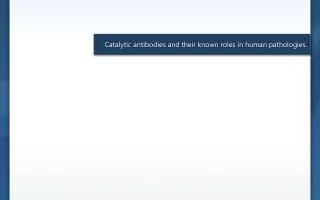 Catalytic antibodies and their known roles in human pathologies.