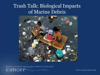 Trash Talk: Biological Impacts of Marine Debris