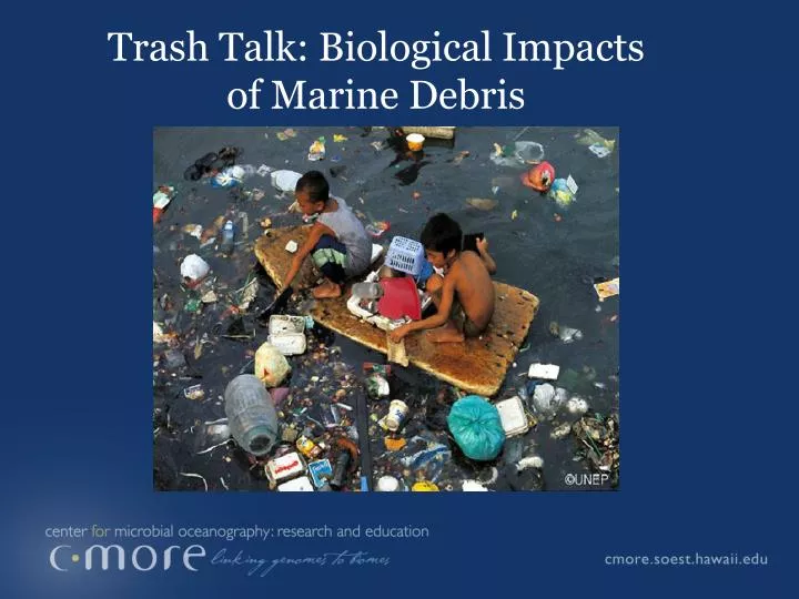 trash talk biological impacts of marine debris