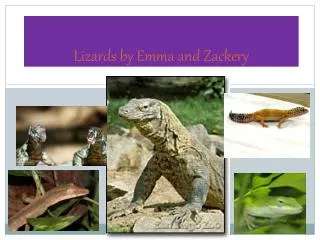 Lizards by E mma and Zackery