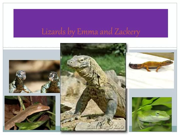 lizards by e mma and zackery