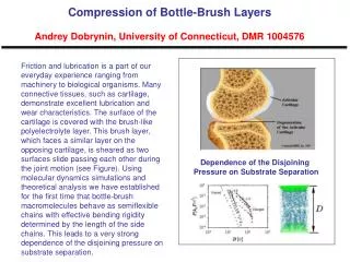 Compression of Bottle-Brush Layers Andrey Dobrynin, University of Connecticut, DMR 1004576