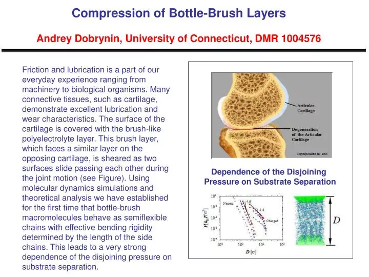 compression of bottle brush layers andrey dobrynin university of connecticut dmr 1004576