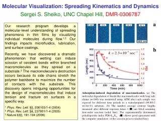 Molecular Visualization: Spreading Kinematics and Dynamics Sergei S. Sheiko, UNC Chapel Hill, DMR-0306787