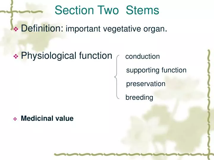 section two stems