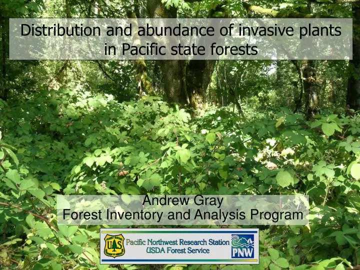 distribution and abundance of invasive plants in pacific state forests