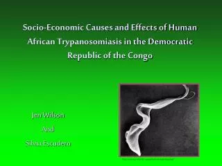 Socio-Economic Causes and Effects of Human African Trypanosomiasis in the Democratic Republic of the Congo