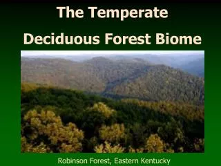 The Temperate Deciduous Forest Biome