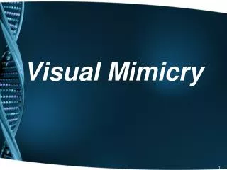 Visual Mimicry