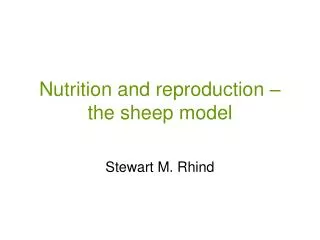 Nutrition and reproduction – the sheep model