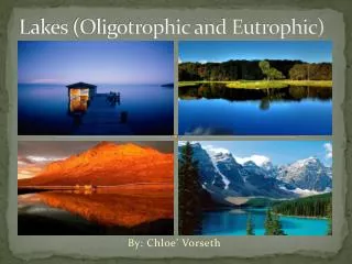 Lakes (Oligotrophic and Eutrophic)