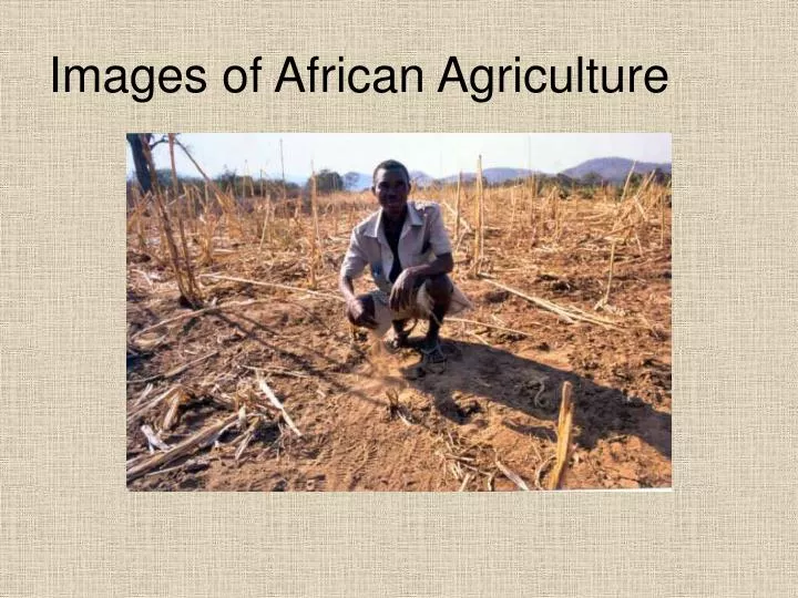 images of african agriculture