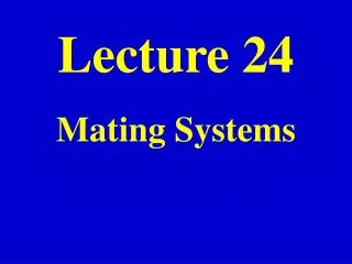 Lecture 24