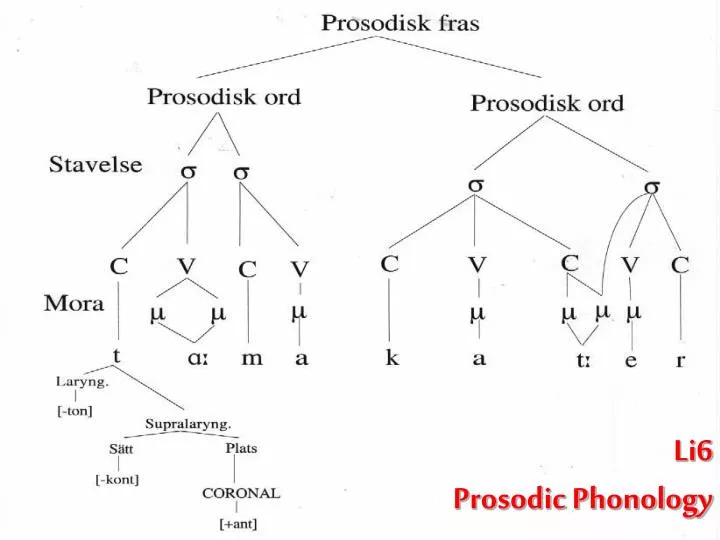 li6 prosodic phonology