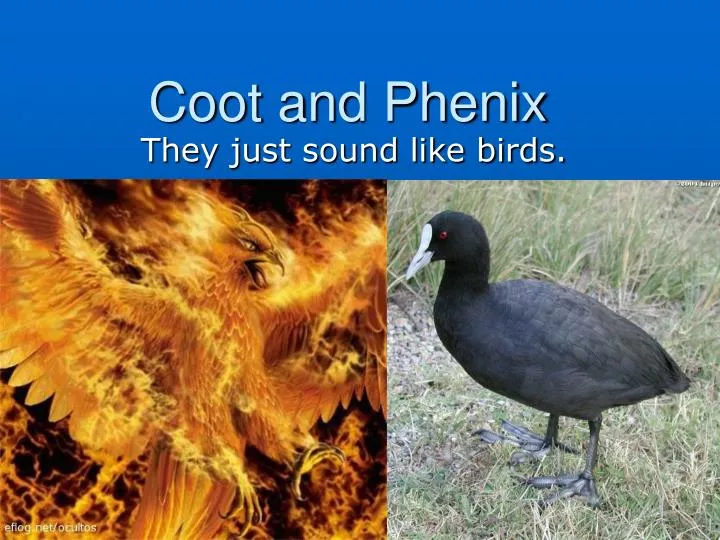 coot and phenix