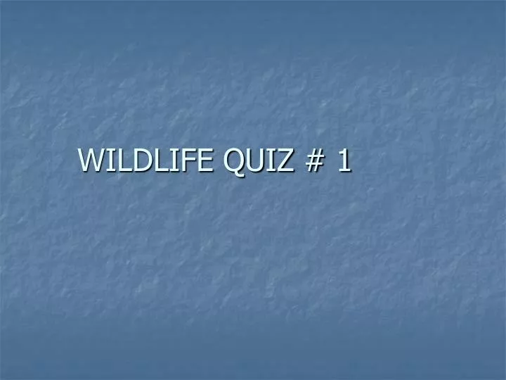 wildlife quiz 1