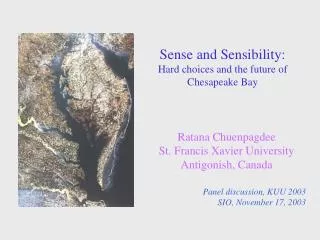 Sense and Sensibility: Hard choices and the future of Chesapeake Bay