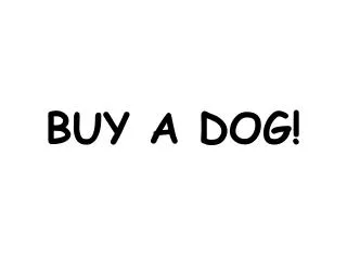 BUY A DOG!