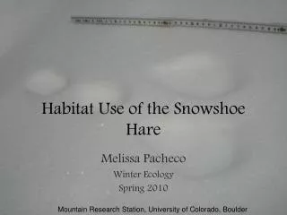 Habitat Use of the Snowshoe Hare
