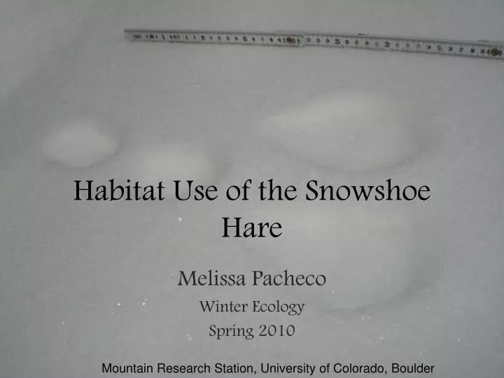 habitat use of the snowshoe hare