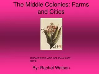 The Middle Colonies: Farms and Cities